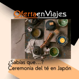 Ceremonia del té en Japón — té matcha servido en cuenco tradicional