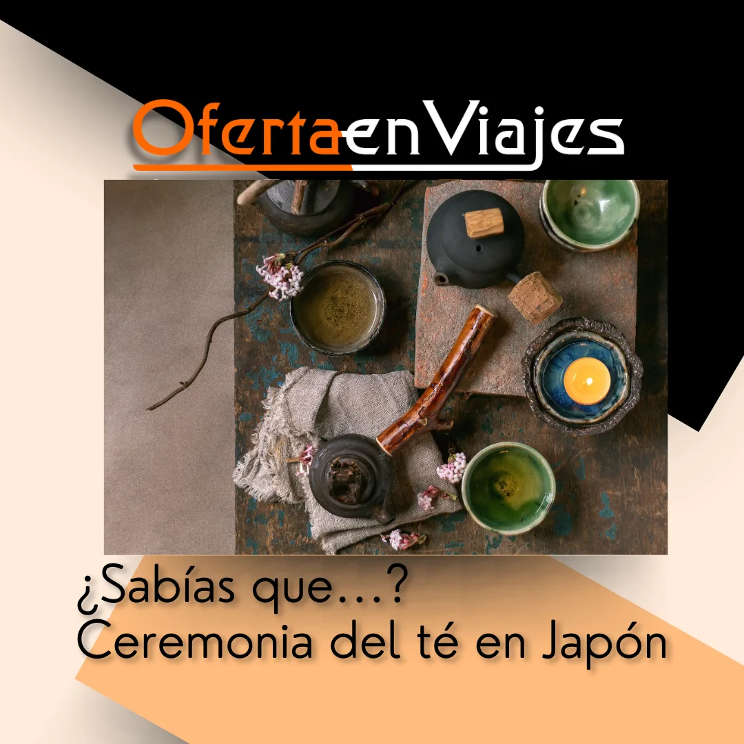 Ceremonia del té en Japón — té matcha servido en cuenco tradicional
