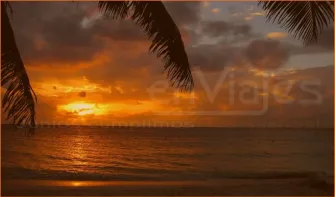 Maravillas dominicanas: disfruta un viaje a Punta Cana todo incluido con playas hermosas; vive un viaje a Punta Cana todo incluido con descanso absoluto.